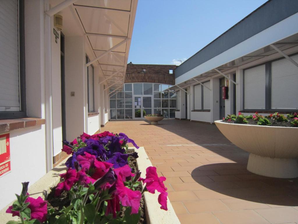 Apartamentos Elena Laredo Luaran gambar
